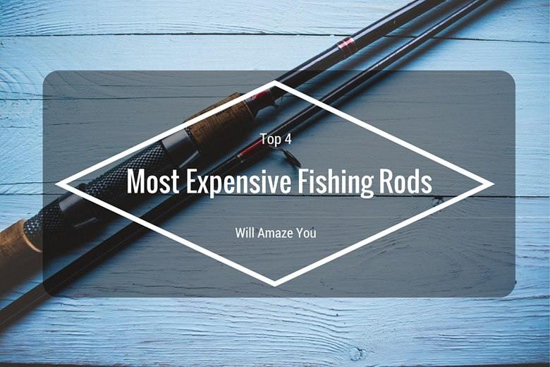 The Top 4 Most Expensive Fishing Rods 1 Will Amaze You